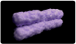 it-panel-Biobank__Biomarker_Laboratories icon